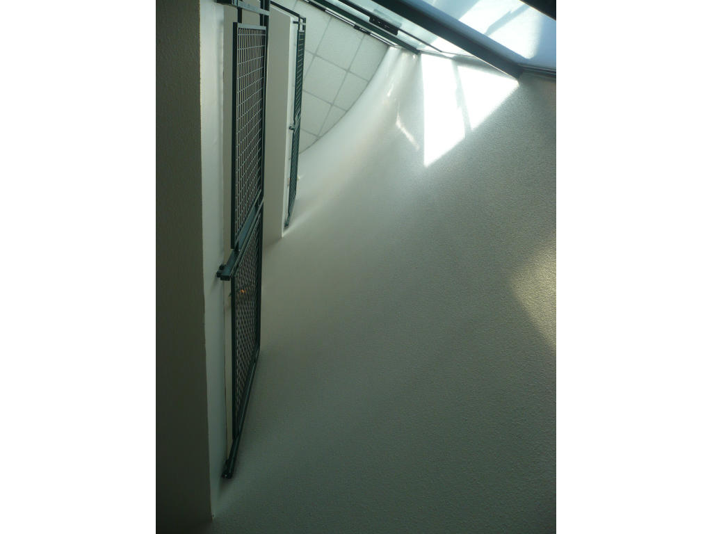 renovation cage