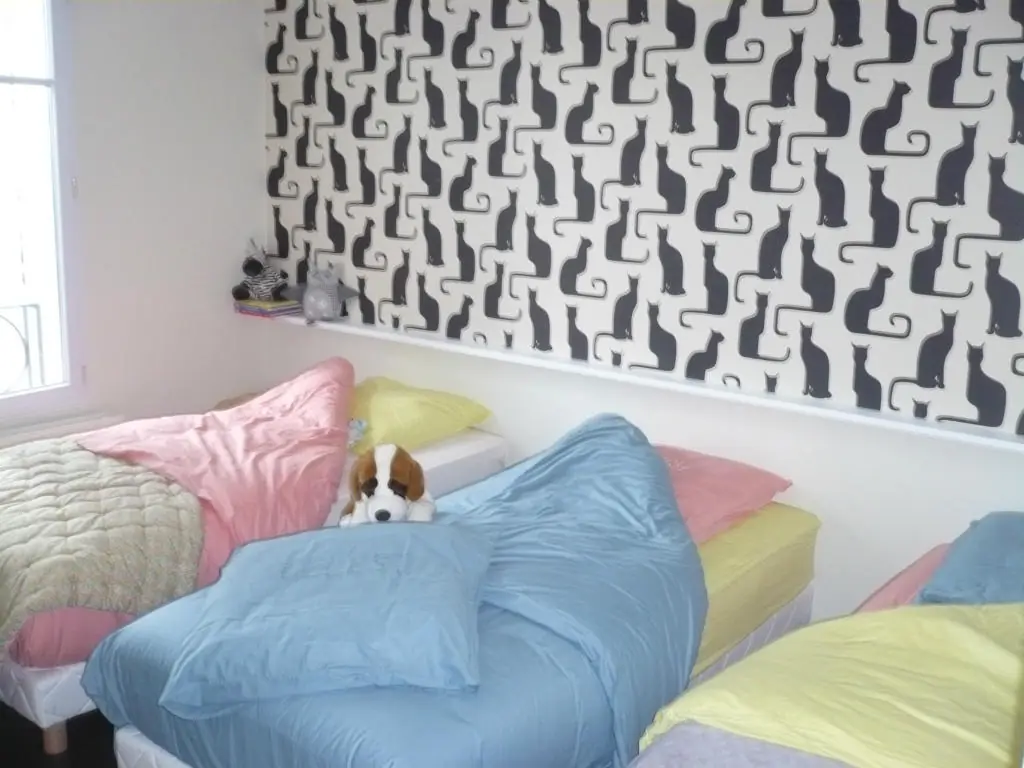 chambre chat