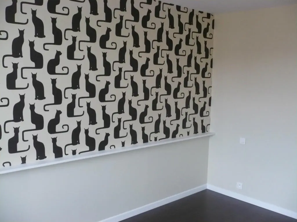 chambre chat