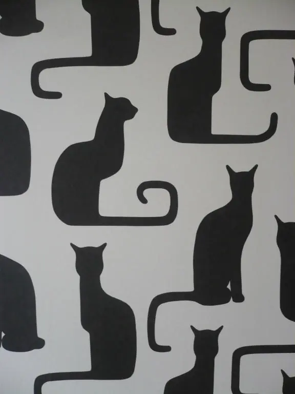 chambre chat
